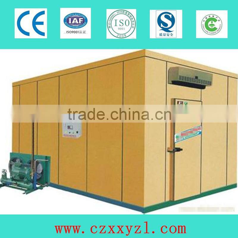 Small deep freezer cold room copeland refrigertor compressor 220v 50hz