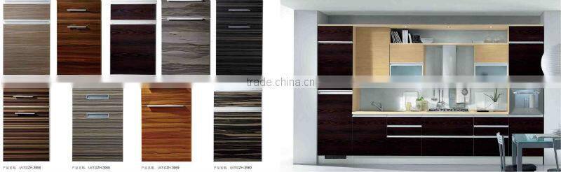Modular Kitchen Cabinet door DM9660