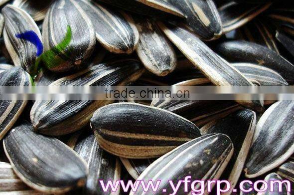 Chinese sunflower seeds by roasted with papper bag