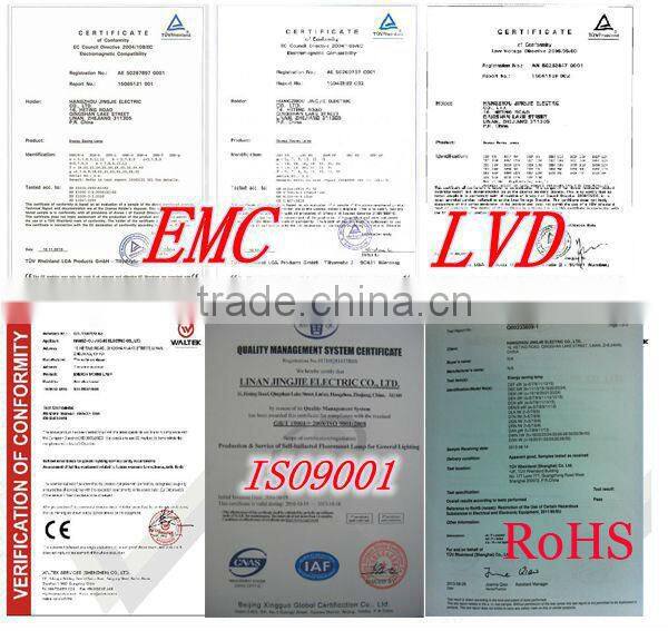 6500K Energy Saving Lamp Lotus For Decoration