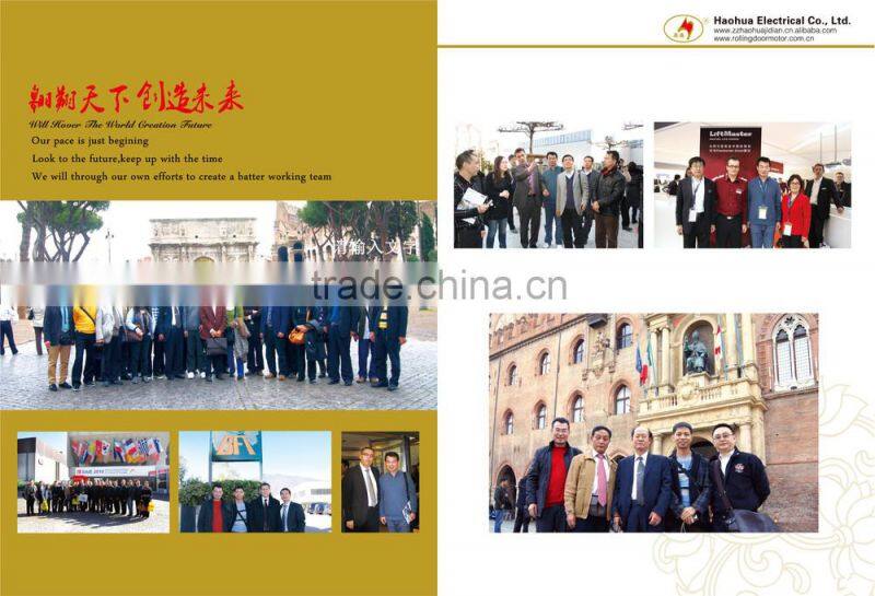 AC tubular motor for roller blind