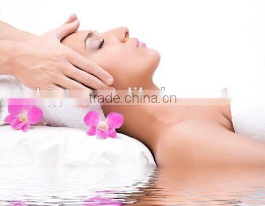 GTO Disposable Titanium Alloy Micro Needle 600 Derma Roller