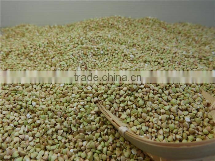 Chinese best raw buckwheat kernel