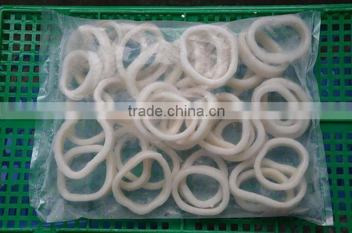 frozen illex squid 10KG/CTN