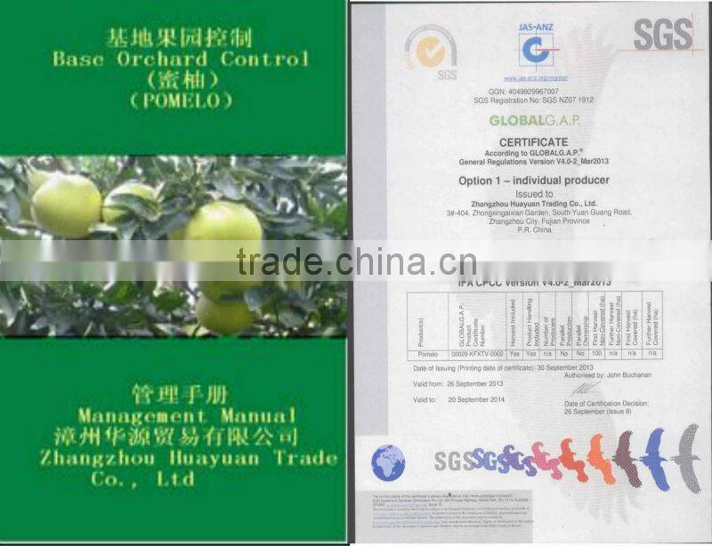 Fresh Guanxi honey pomelo top grade pomelo