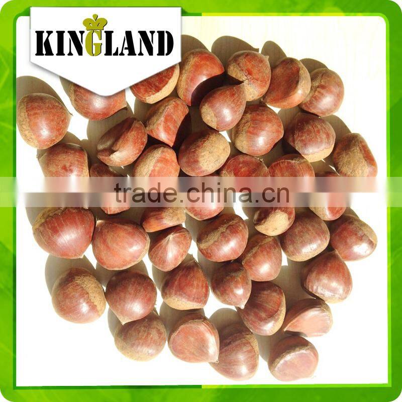 wholesale fresh chestnut