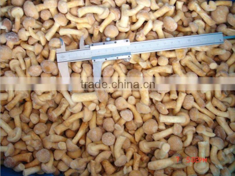 ISO BRC iqf nameko mushrooms