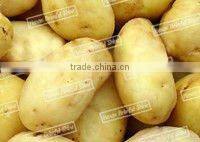 automatic potato chips cutting machine for peeling and cutting potatoes