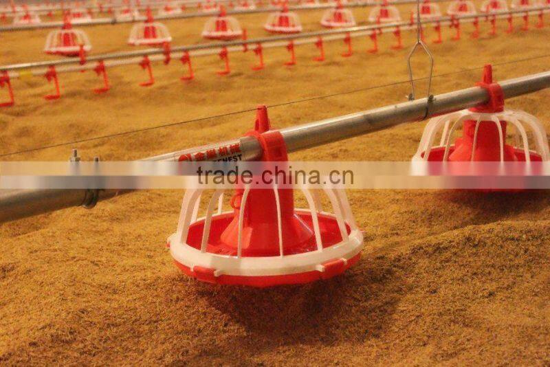 chicken feeding and drinking system