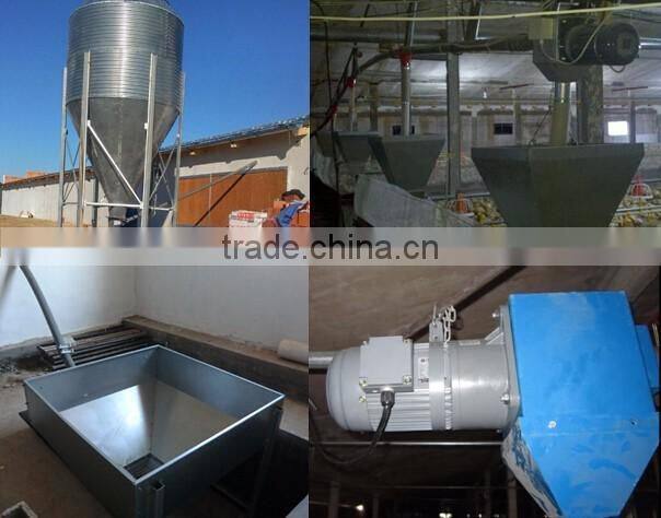 Low cost prefab double floor automatic poultry house for broilers