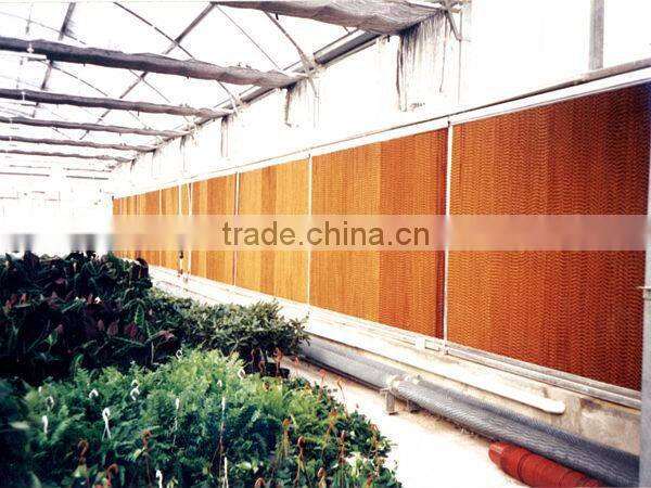 Bang Chi Evaporative wall pads for greenhouse
