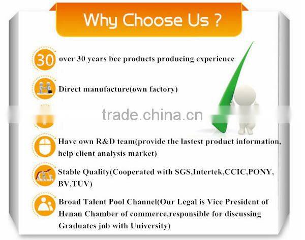 Factory price stainless steel bee smoker with heat shield