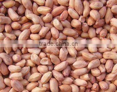 Semi-automatic Stainless steel weighing 10 -999 grams table type filling mchine