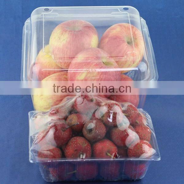 clamshell blister plastic box for fruit vegetable container