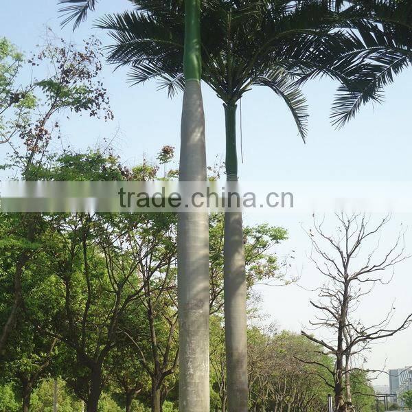 plastic fiber king coconut tree green park Artificial King Coconut Tree