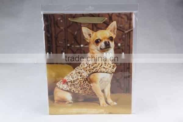 Foldable Gift Bag With dog's pictures/ Shopping Bag
