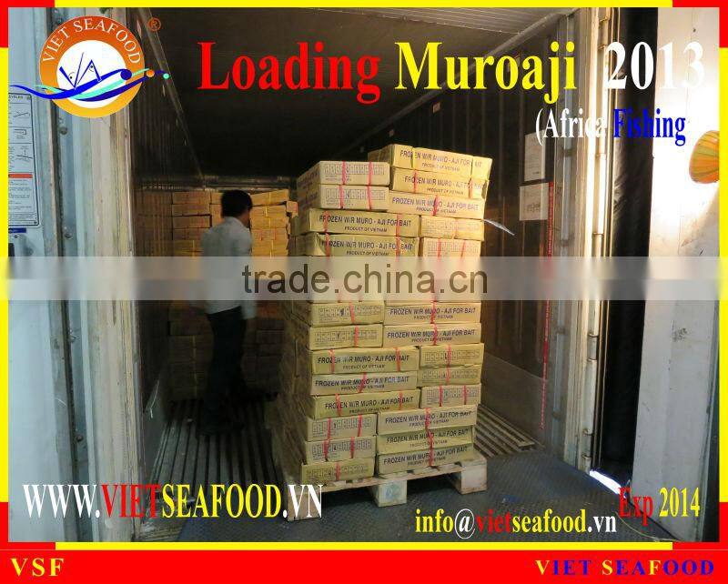 LOADING MUROAJI FOR TUNA BAIT