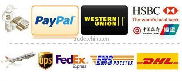 Stainless steel 304 factory fountain sprinkler head bell nozzle