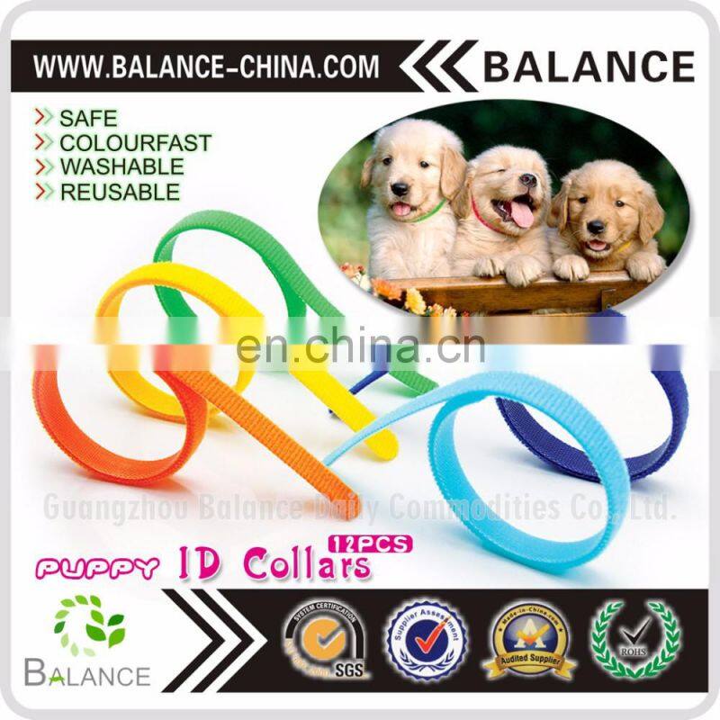 Hook & Loop Puppy Kitten ID collar with 12 colors
