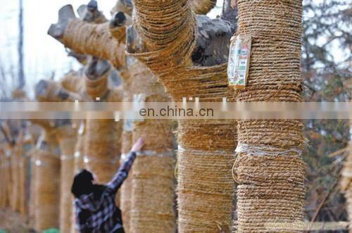 Small cheap automatic rope making machine/straw rope making machine