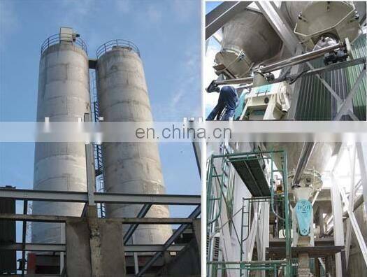 Low cost flat bottom 1000ton grain storage silos made in China