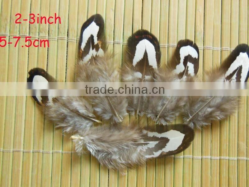 wholesale diy feather decorative craft feather
