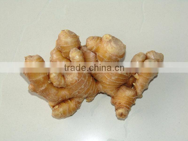 premium chinese yellow ginger