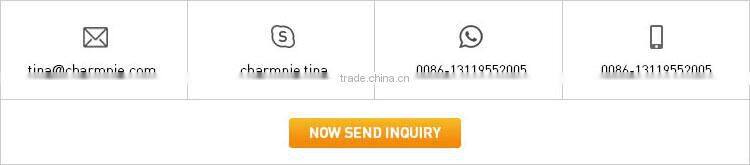 professional Electronic Products supplier wholesale best quality portable car battery charger