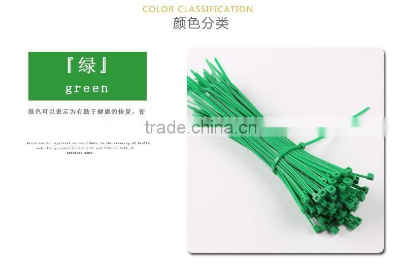 4'' 6'' 8'' 10'' Length Nylon66 Plastic Cable Tie Size