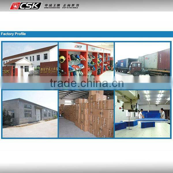 Boxing Punching Bag Fighting Boxing Bag