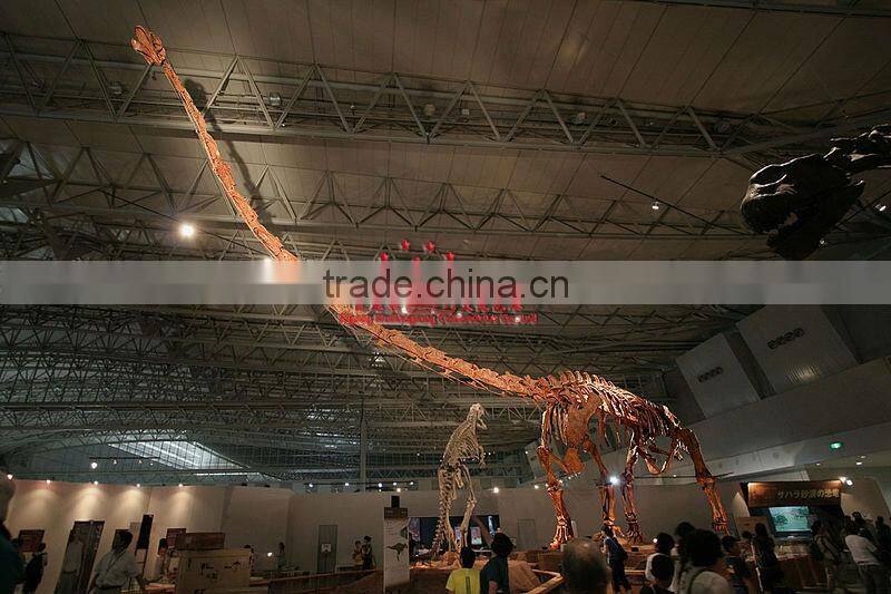 Large Animated Skeleton Model Of Dinosaur