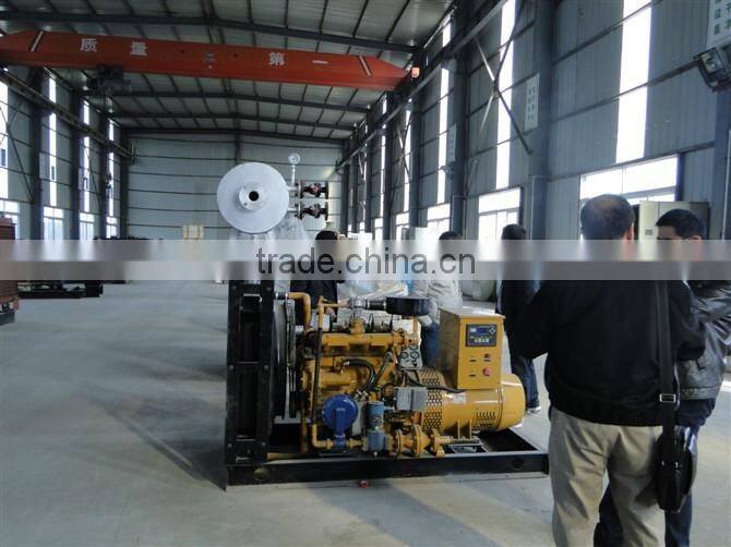 2016 brand new AC three phase output type 100KW international popular silent containerized Diesel generator set