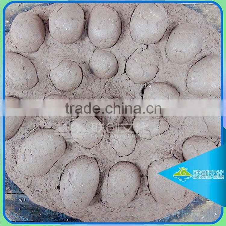 On exhibit dinosaur footprints fossils of dinosaur