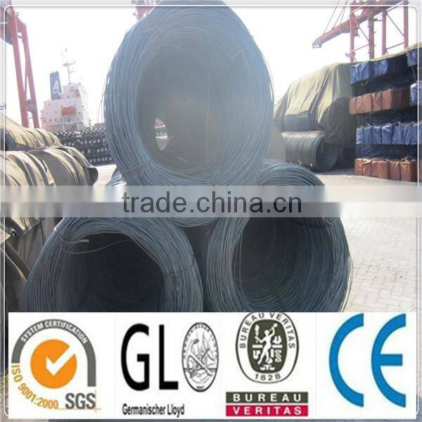 Prime Quality SAE1008B Hot Rolled Wire Rod