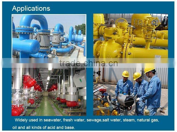 DN200 Basket Strainer With Foot Valve