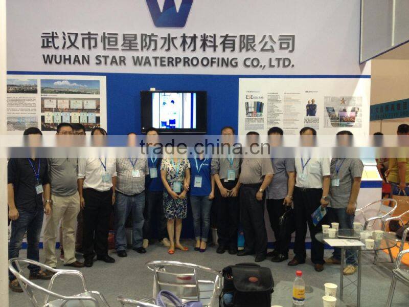 Waterproof Coating Mainly consists of Acrylic polymer emulsion