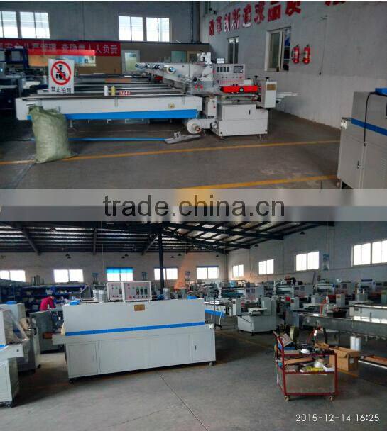 biscuit family horzontal flow packing machine(FFE)