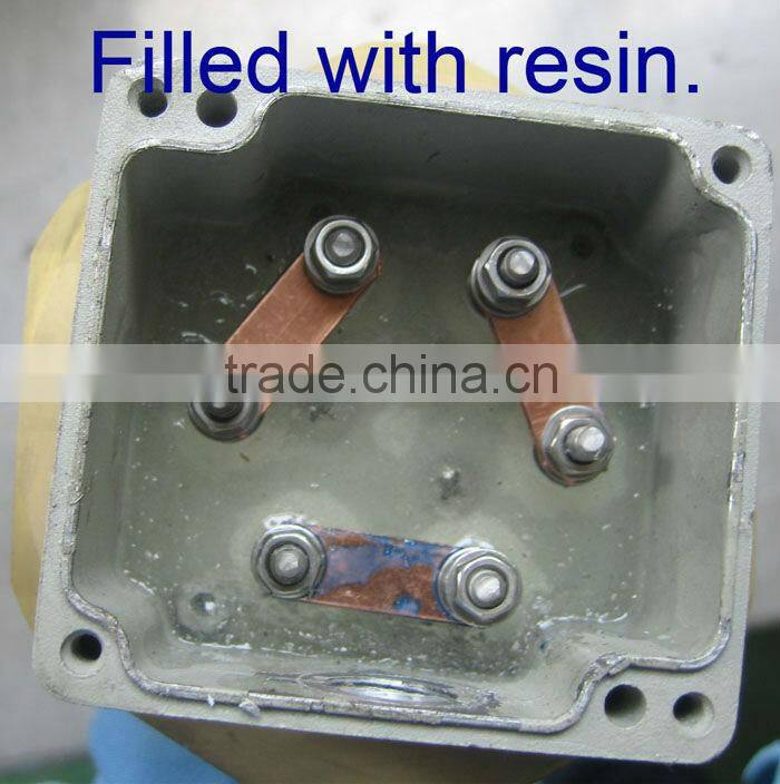 immersion flange heater with waterproof coverbox