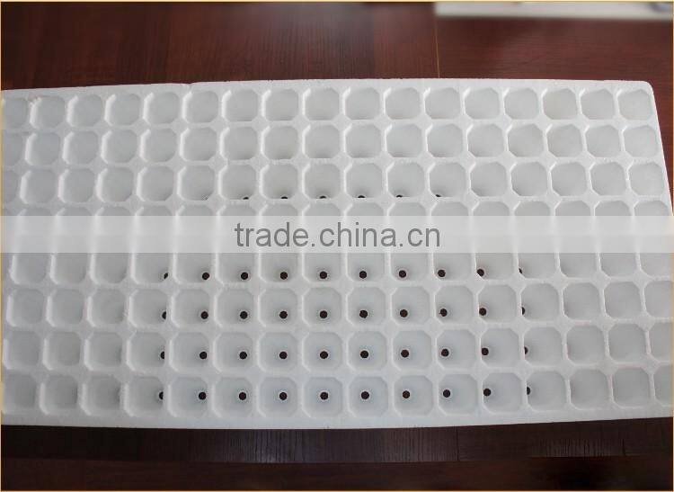 Wholesale Vegetable EPS Box Moulds/Helmet Moulds