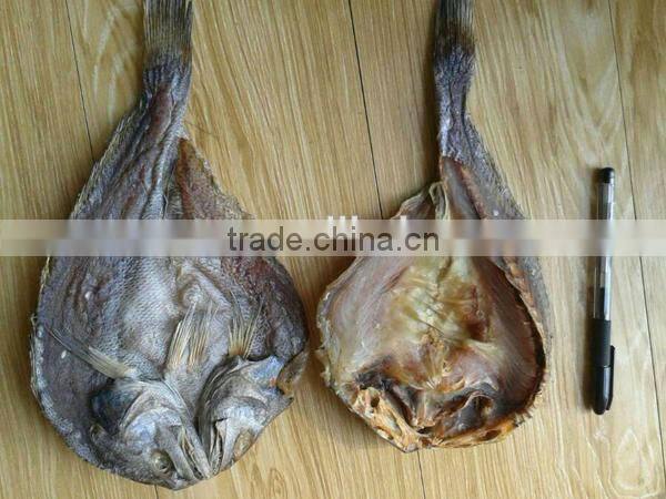 dry salted fish High Quality dried brown croaker fish