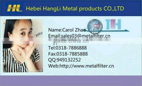 China cheap Stainless Steel Hexagonal Wire Netting/ fence netting/ woven mesh/ animal catching nets