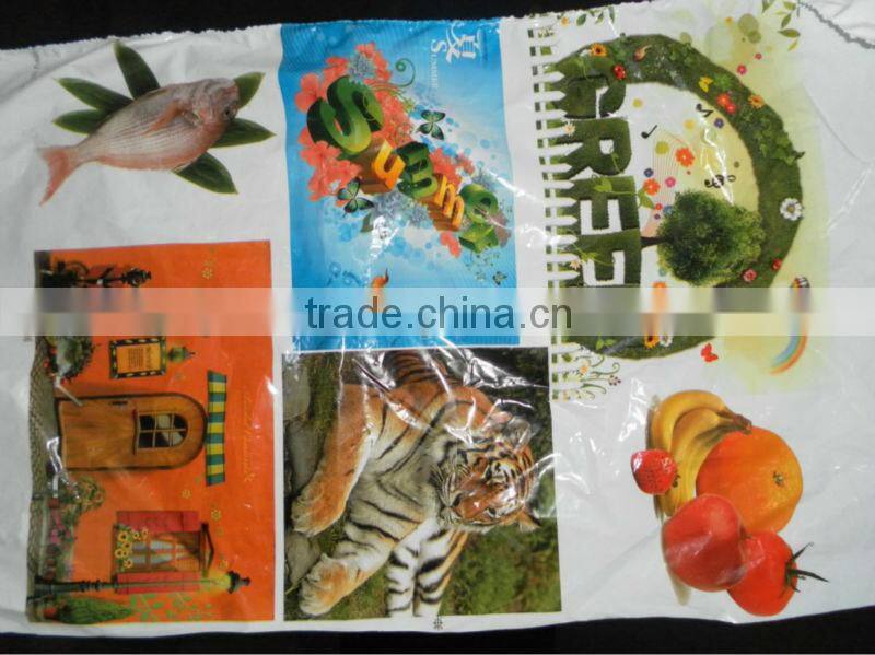 Letterpress type paper bag roll Flexo printing machine