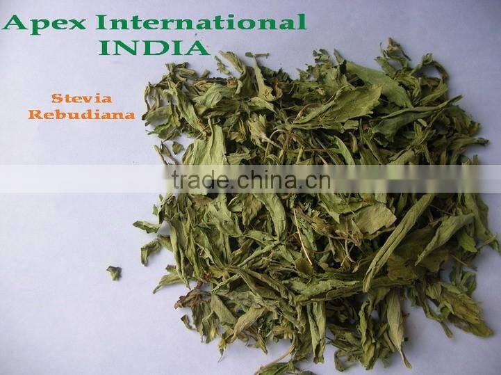 Stevia Rebaudiana / Stevia leaf / Stevia Leaf T Cut