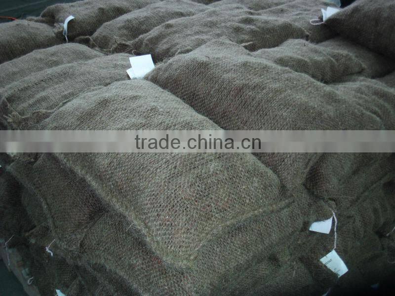 chestnut Dandong China 2014