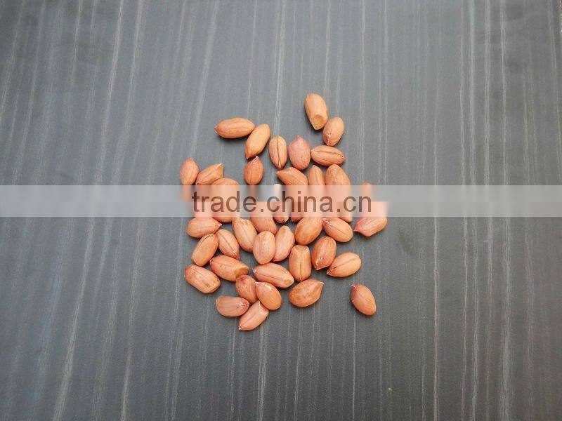INDIAN QUALITY BOLD GROUNDNUT KERNEL 50/60
