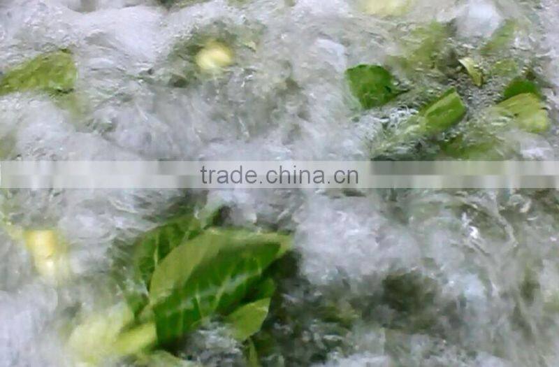 WASC-10 Commercial vegetable and fruit Washing Machine