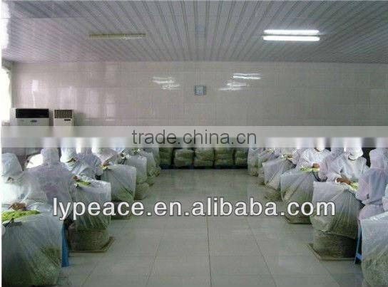 produced for ad carrot flakes