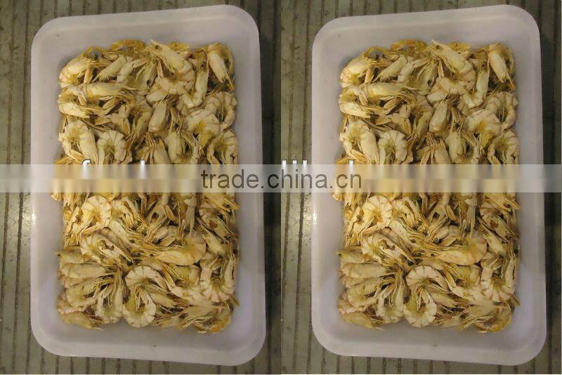 Blacktiger Prawns popular sale season