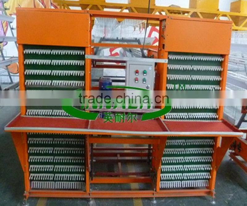 Automatic Egg Collect Machine for Poultry Farm