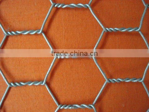 chain link Mesh Fence (ISO9001 factory dirctor)